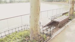 Follada a diosa en mitad de parque a plena luz del día a base de dinero y promesas
